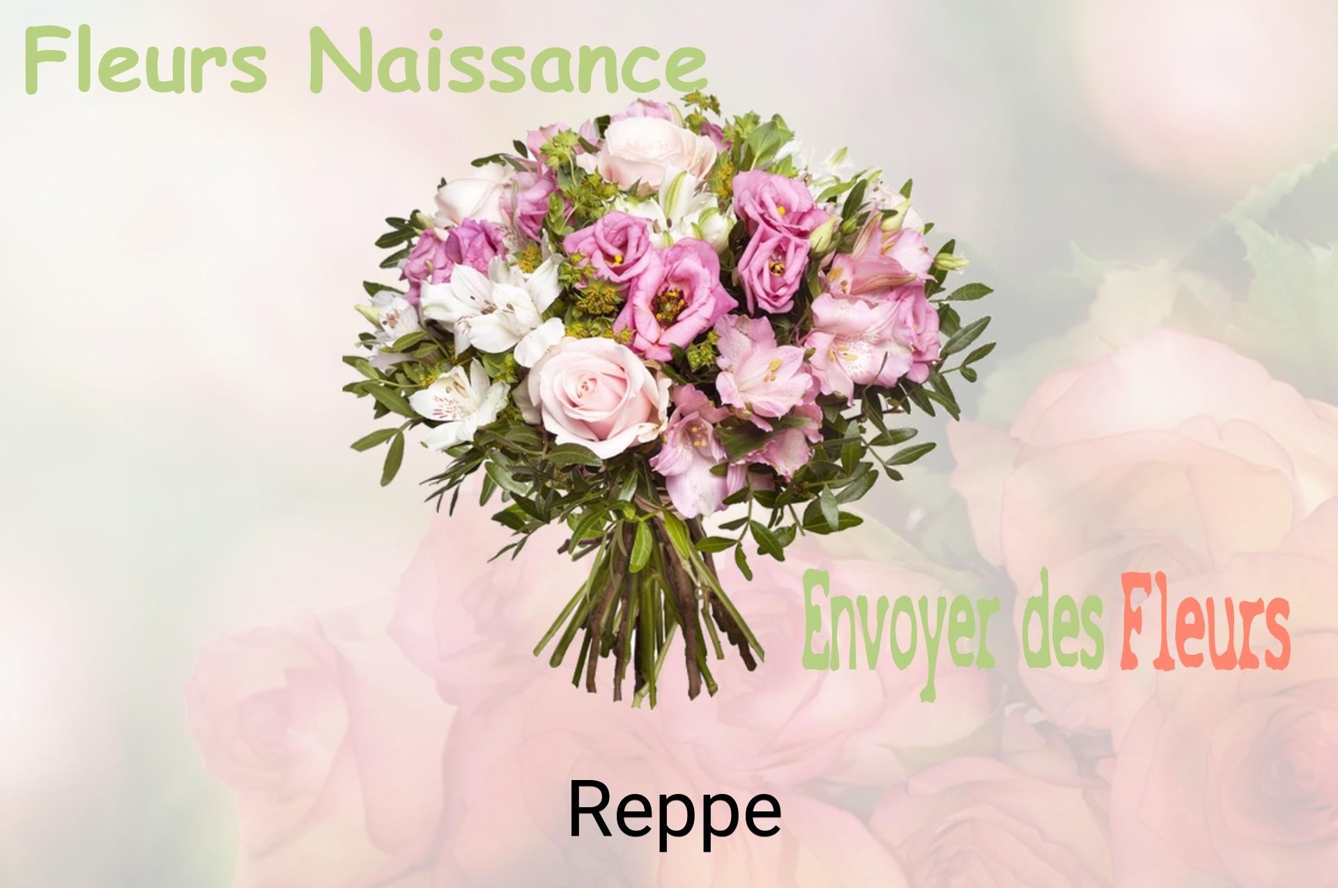 Bouquet de fleurs de naissance livré à Reppe